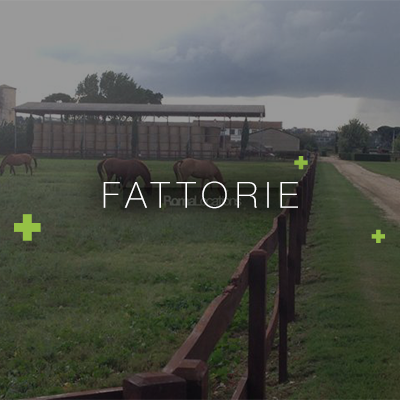 Location Fattorie